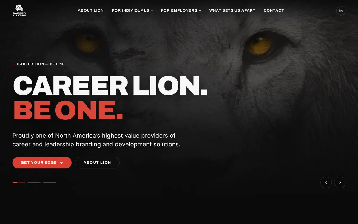 careerlion.com home page on desktop