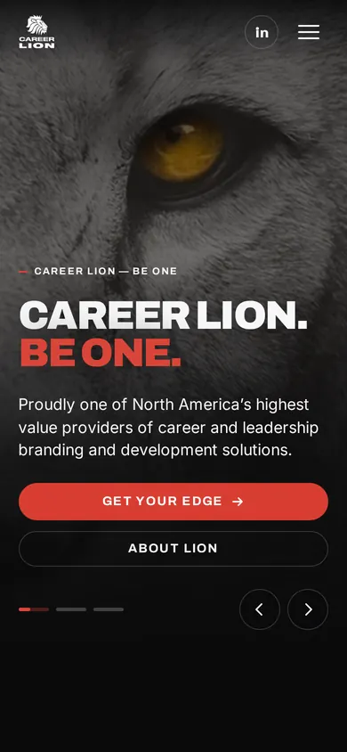 careerlion.com home page on a phone