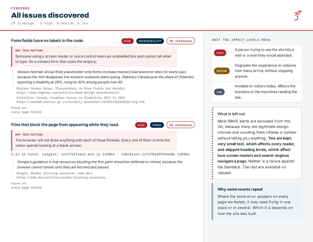 A page of a full Standards Report listing every finding, why it matters, and where it appears.